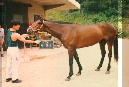 ȫ�繫 ����