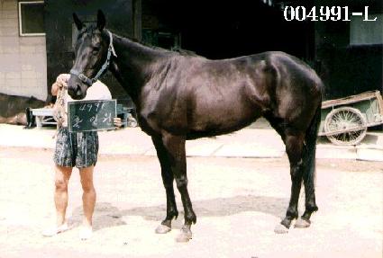 Ȧ�ο� ����