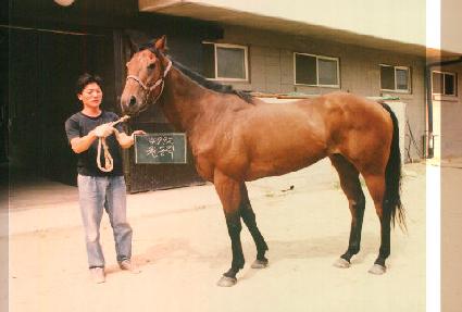 ������ ����