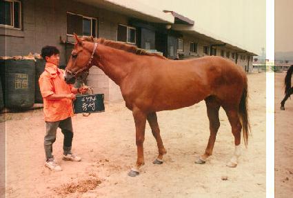 ���� ����