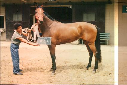 ȭ���� ����