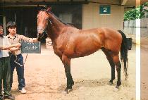 �Ǳ��� (UI GI YANG YANG) ����