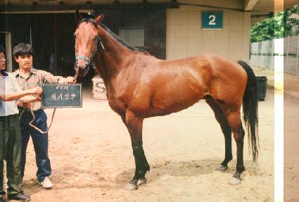 �Ǳ��� ����