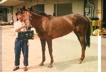 ���๮ (GI HAENG MUN) ����