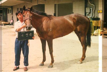 ���๮ ����