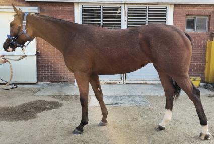 ����� ����