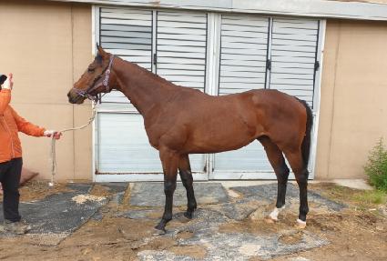 ������� ����