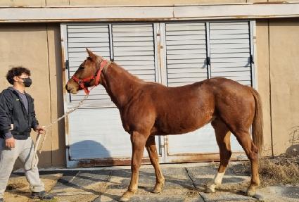 ��Ÿ��ƽ���� ����