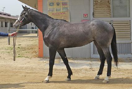 �۶��콺 ����