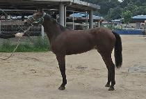 ��Ʈ�÷��� (MINT PLAY) ����