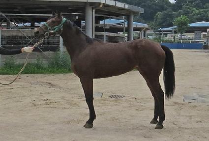 ��Ʈ�÷��� ����