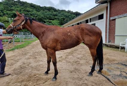 ����Ŭ���� ����