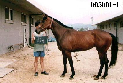 ������ ����