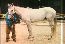 ����ȣ (BAEK JE HO) ����