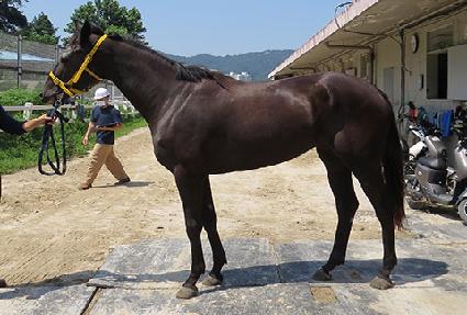 õ��ê ����