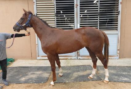 ���̾������� ����