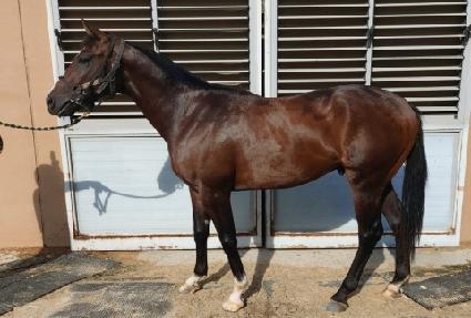 ����� ����