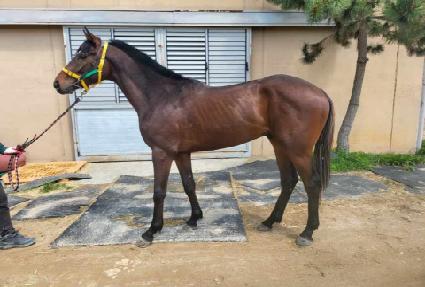 ���� ����