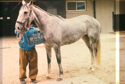 ������� ����