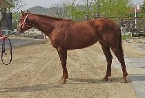 �����è�� (HERO CHAMP) ����