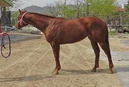 �����è�� ����