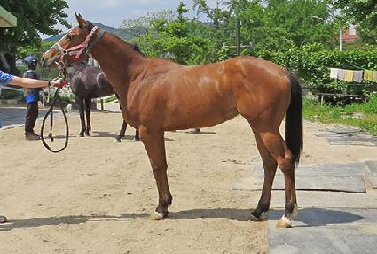 ��������� ����