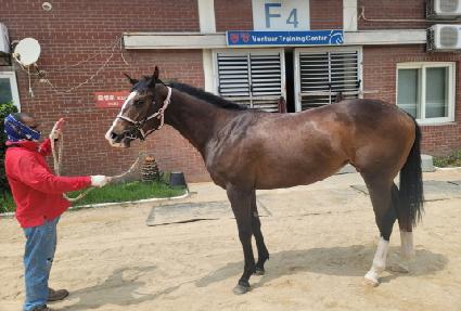 ���� ����