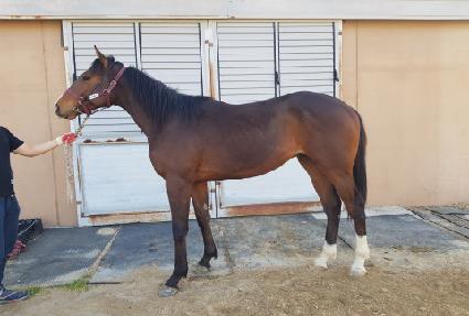 �����Ϻ��� ����