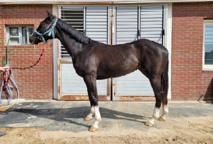 ���ġ�� ����