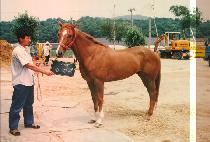 ÷���� (CHEUM SEUNG DAE) ����