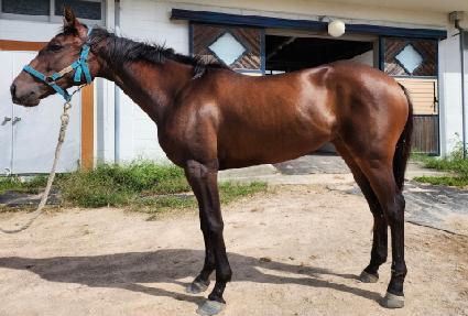 ���̾�üũ ����