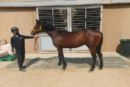 ����ŷ ����