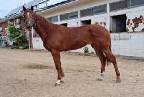 �ϴý¸� (HANEUL SEUNGNI) ����