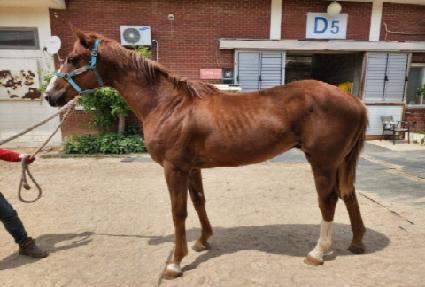 �۷ι���� ����