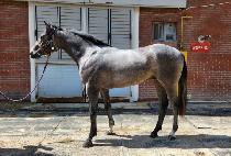 ���ֺ��� (UNJU BONNEUNG) ����