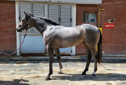 ���ֺ��� ����