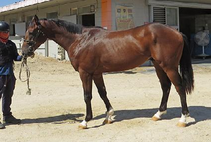 ���νõ� ����