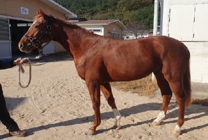 �ڽ���ġ ����