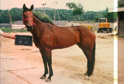 ���� ����