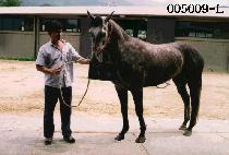 ��â (GEU CHANG) ����