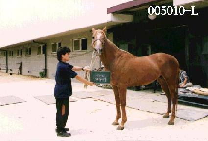 ����� ����