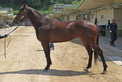 ��Ű�÷��� ����