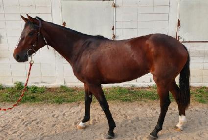 �ݼ�Ŭ���� ����