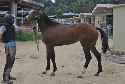 ����Ʈ�÷��� ����