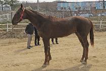 ����극��Ŀ (STORM BREAKER) ����