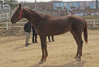 ����극��Ŀ ����