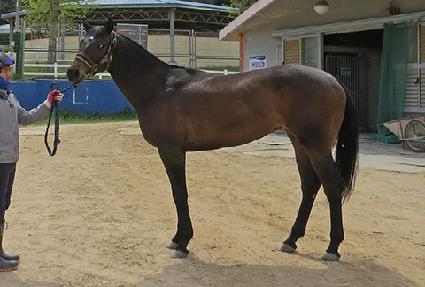 ���̾�Ʈ���� ����