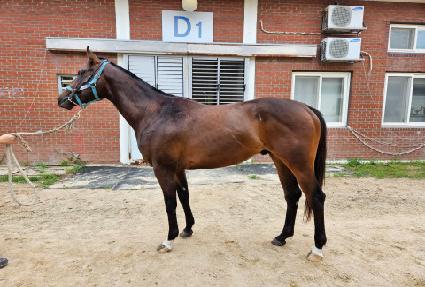 ũ���������� ����