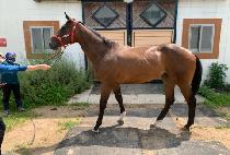 ��ƼǮ������ (BEAUTIFUL LIFE) ����