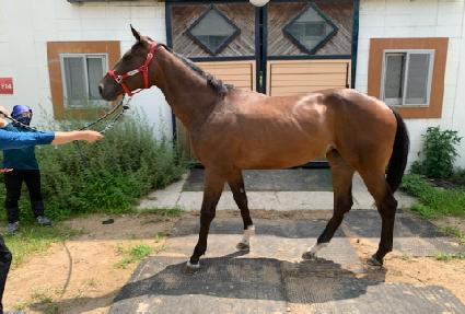 ��ƼǮ������ ����